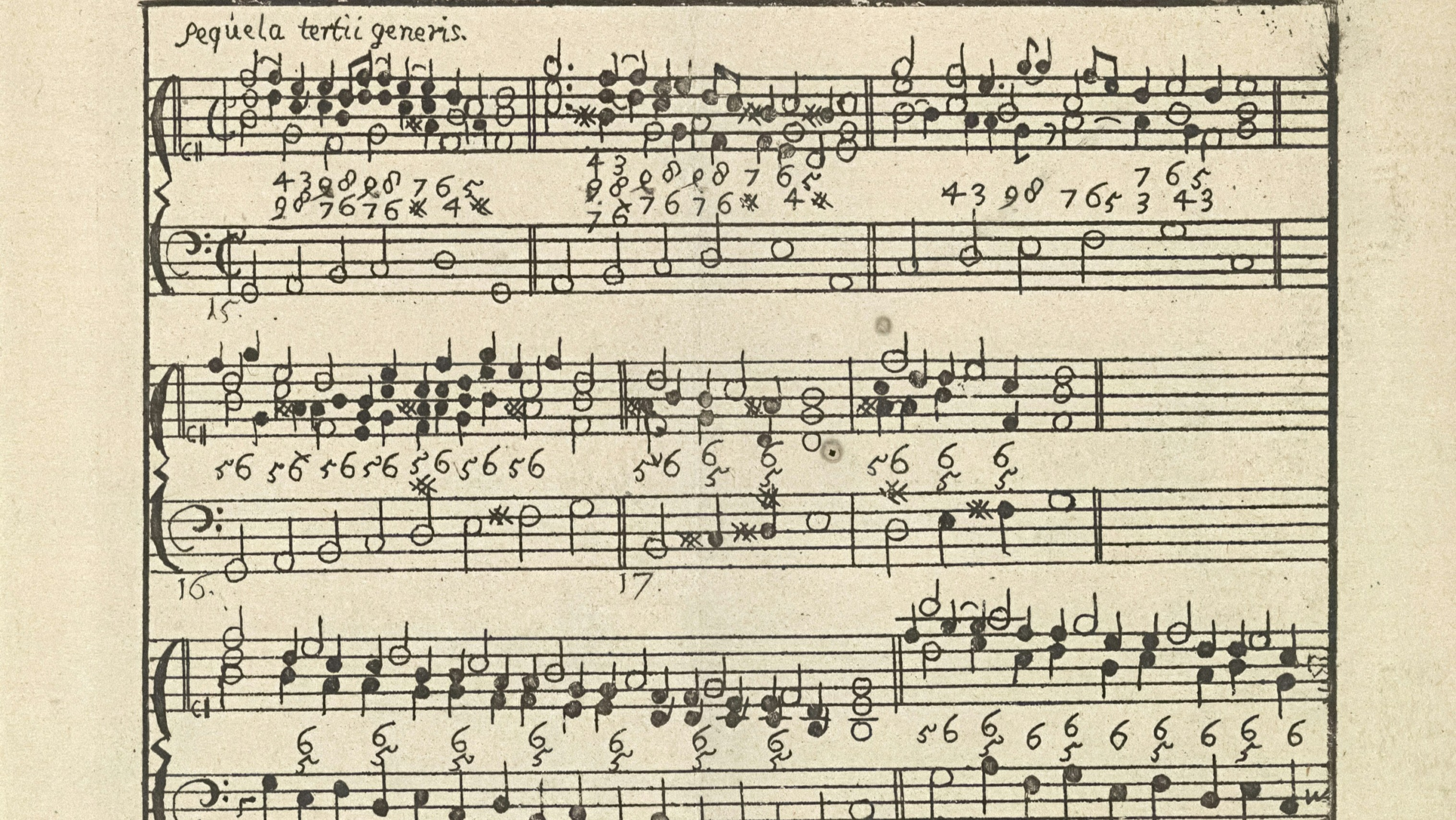 Basso Continuo Services vs Modern Realization: What Works Best for Your Early Music Performance?